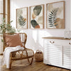 Boho Botanical Canvas Set