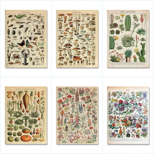 Vintage Botanical Canvas Print