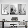 Dandelion Canvas Wall Art