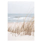 Ocean Turtle Canvas Art