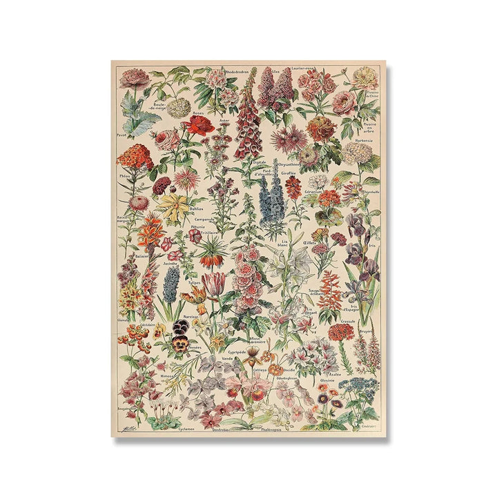 Vintage Botanical Mushroom Art