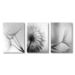Dandelion Canvas Wall Art