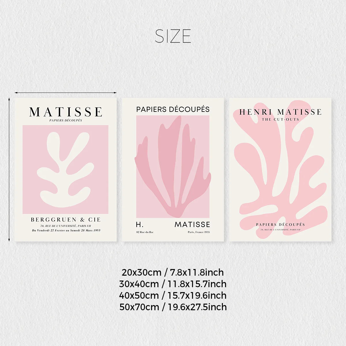 Pink Matisse Canvas Set