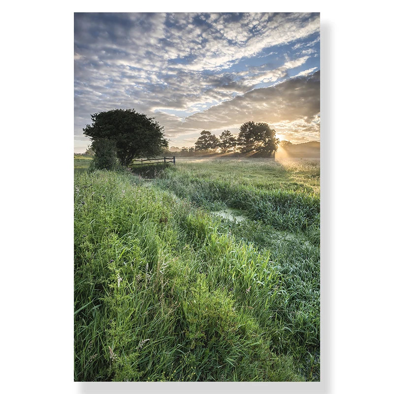 Wild Deer Forest Canvas