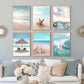Coastal Turtle Canvas Art