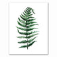 Tropical Plant Canvas Art