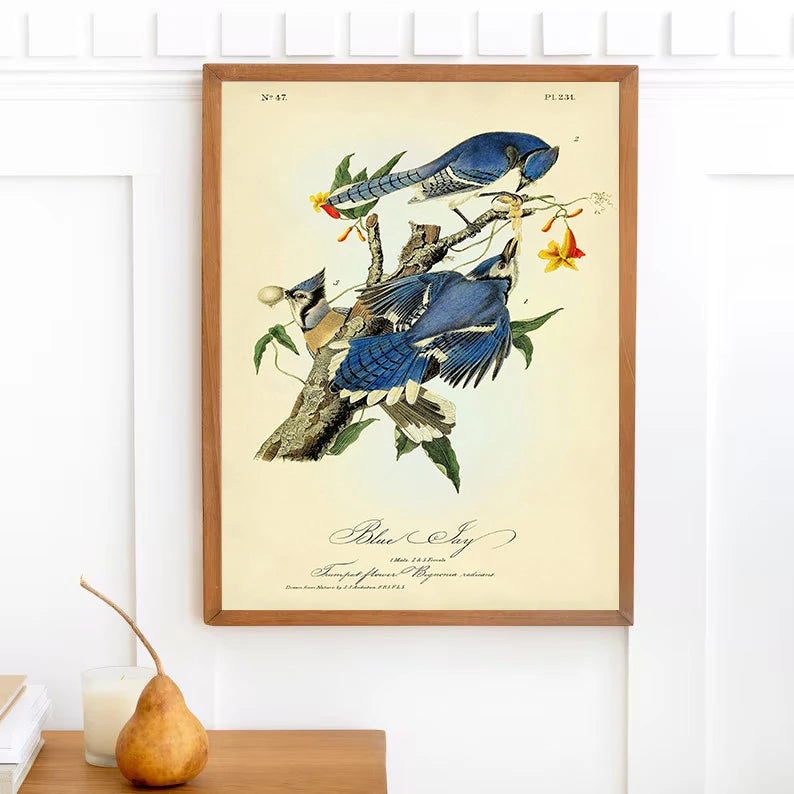 Classic Vintage Audubon Backyard Birds of America Botanical Mockingbird,Robin Poster Canvas Painting Wall Art Picture Home Decor