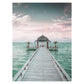 Ocean Turtle Canvas Art