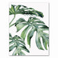 Tropical Plant Canvas Art