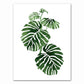 Tropical Plant Canvas Art