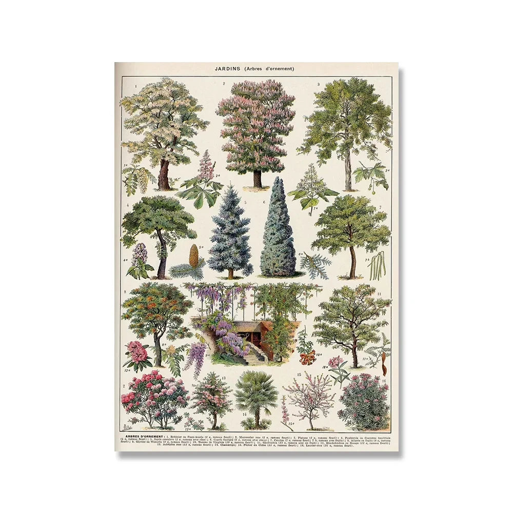 Vintage Adolphe Millot Encyclopedia Posters and Prints Botanical Mushrooms Herbs Flowers Insect Canvas Paintings Wall Art Decor