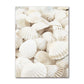 Ocean Turtle Canvas Art