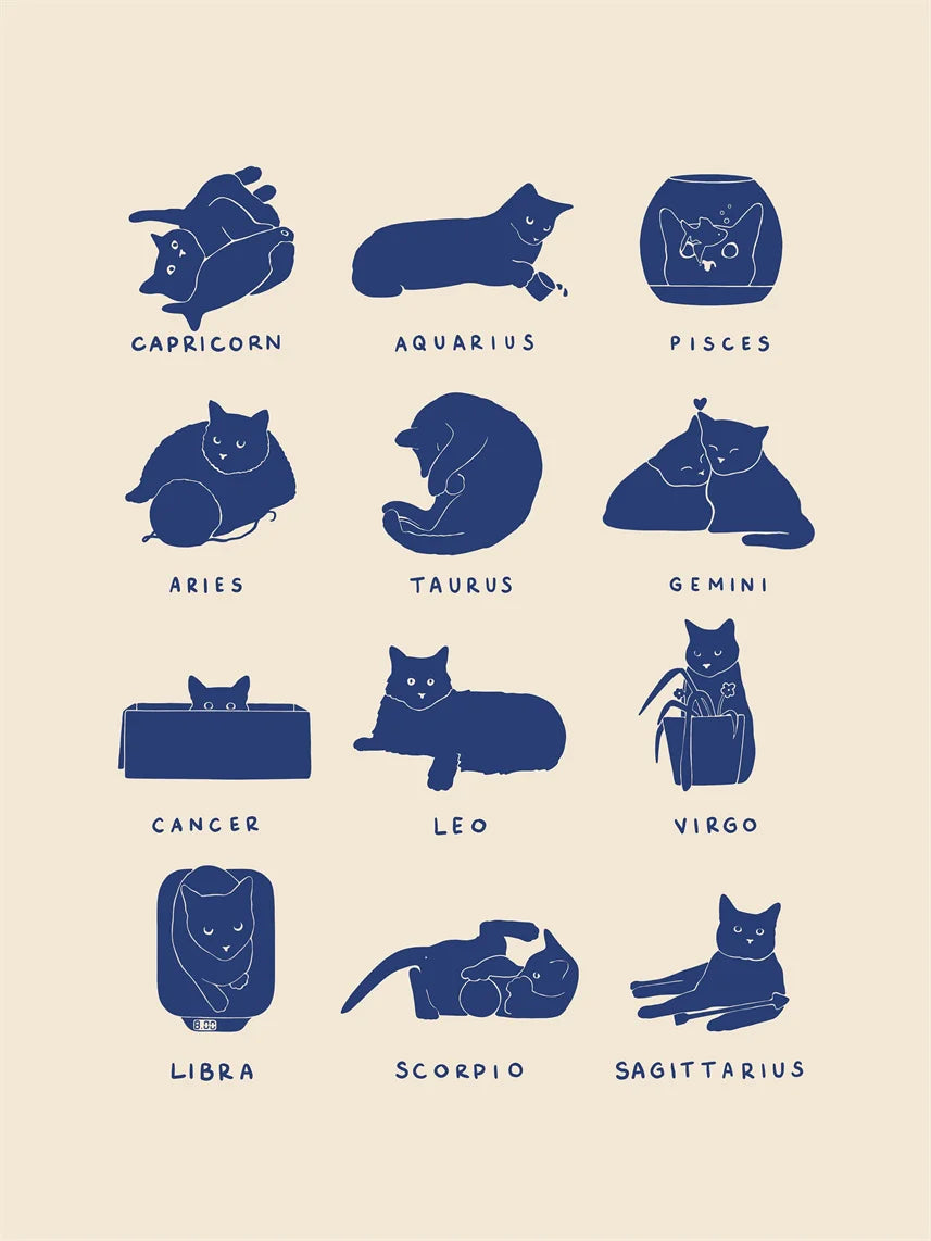 Lazy Cat Canvas Art