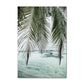 Coastal Turtle Canvas Art