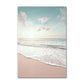 Coastal Turtle Canvas Art