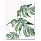 Tropical Plant Canvas Art
