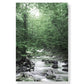 Wild Deer Forest Canvas