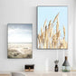 Ocean Turtle Canvas Art