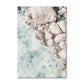 Coastal Turtle Canvas Art