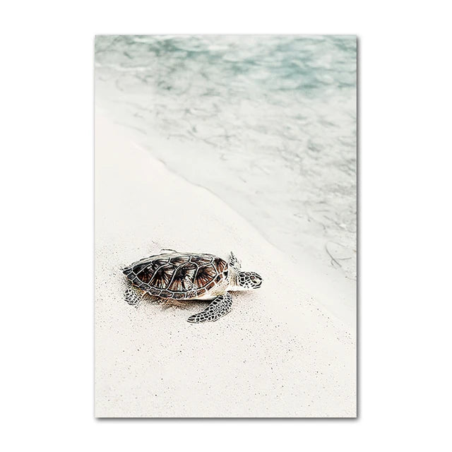 Coastal Turtle Canvas Art