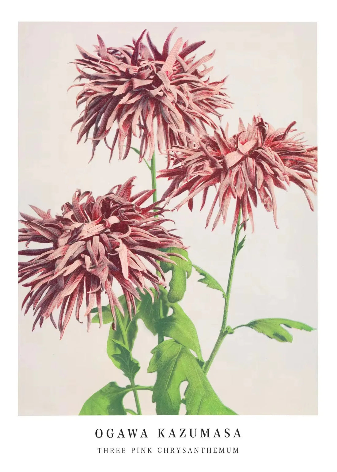 Cherry Blossom Canvas Art