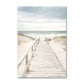 Coastal Turtle Canvas Art