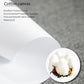 Desert Landscape Canvas Set