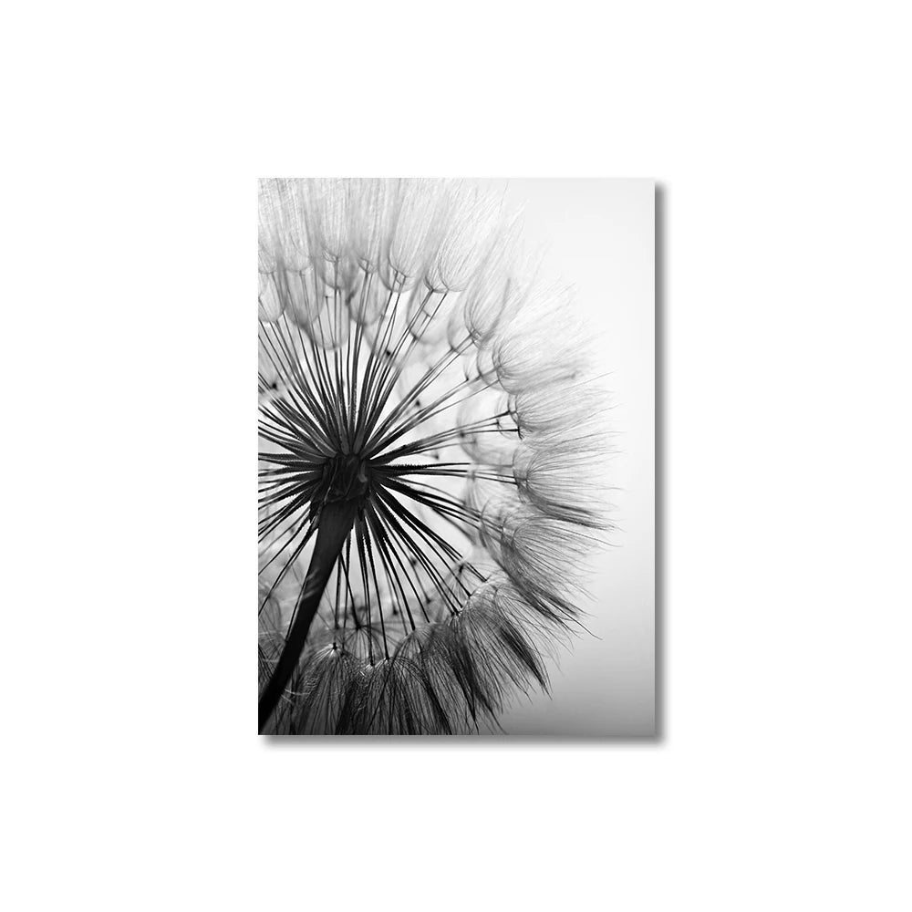 Dandelion Canvas Wall Art