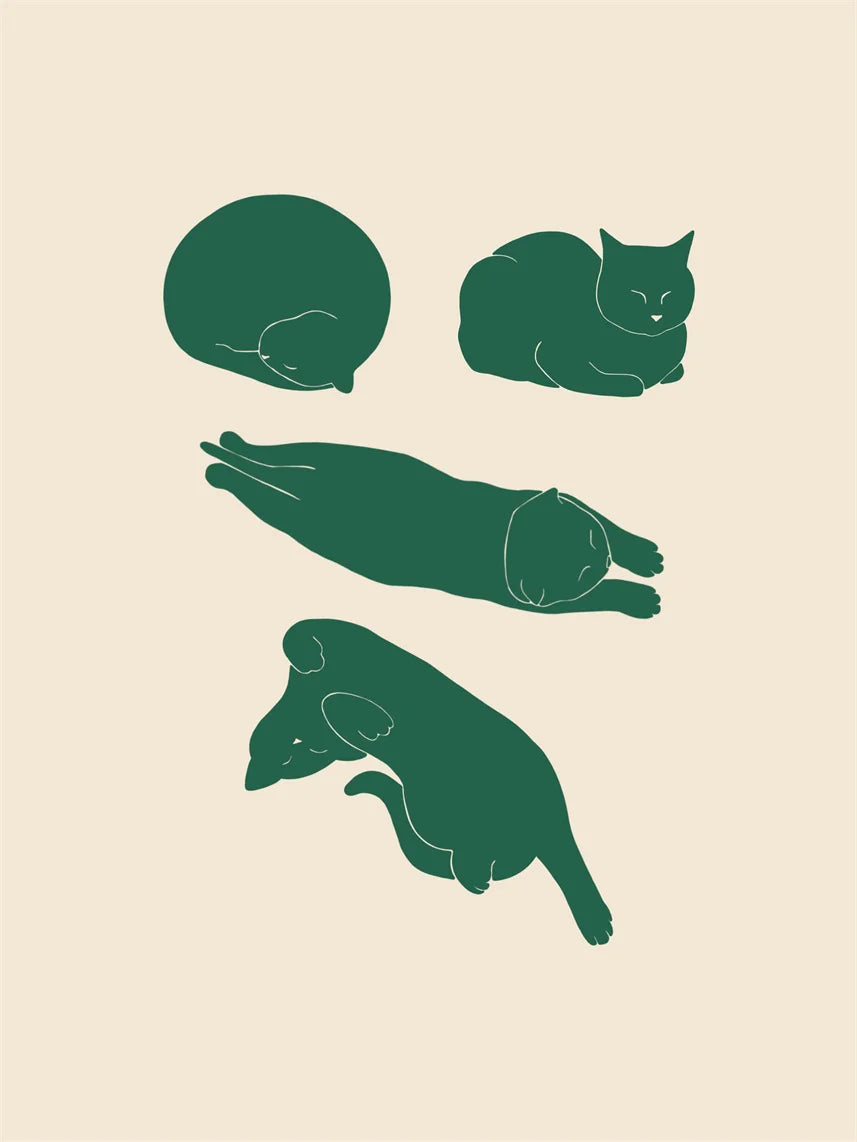 Lazy Cat Canvas Art
