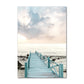 Coastal Turtle Canvas Art
