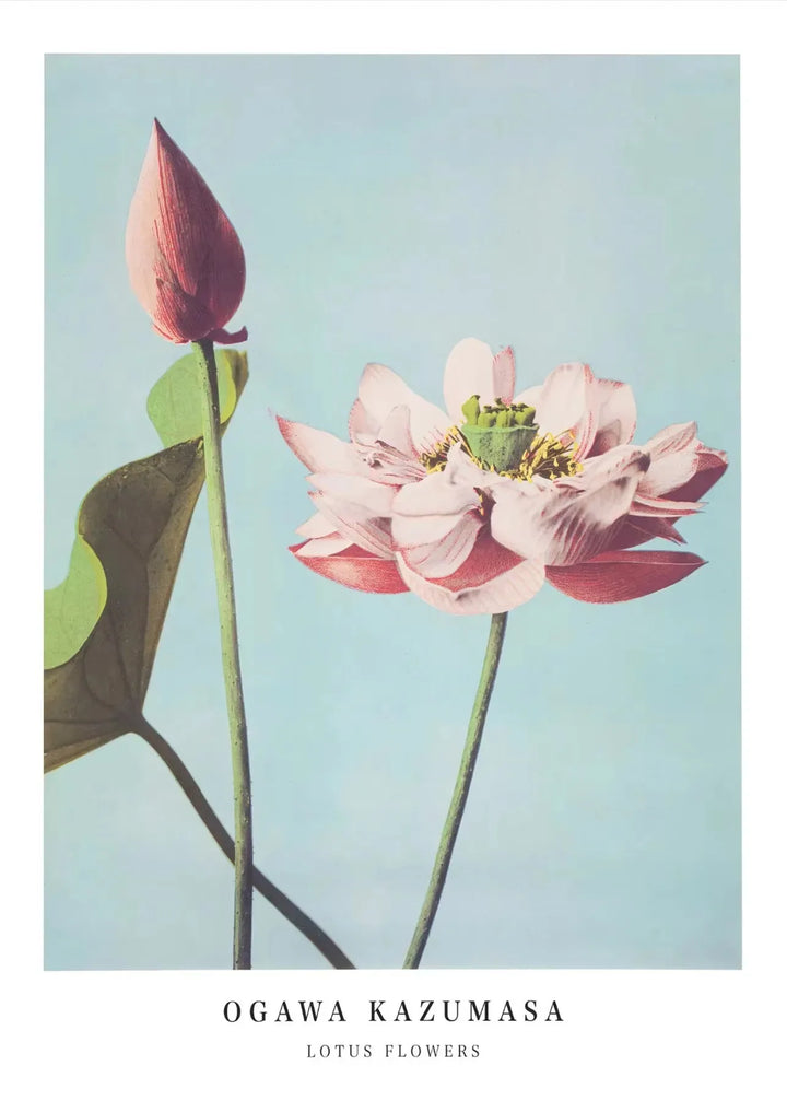 Cherry Blossom Canvas Art