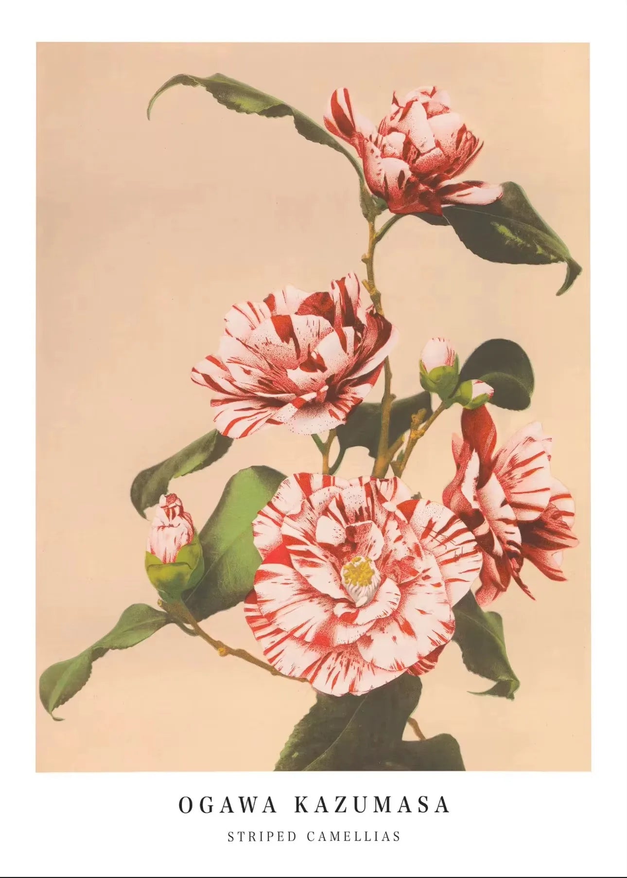 Cherry Blossom Canvas Art