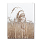 Ocean Turtle Canvas Art