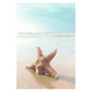 Ocean Turtle Canvas Art