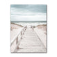 Ocean Turtle Canvas Art
