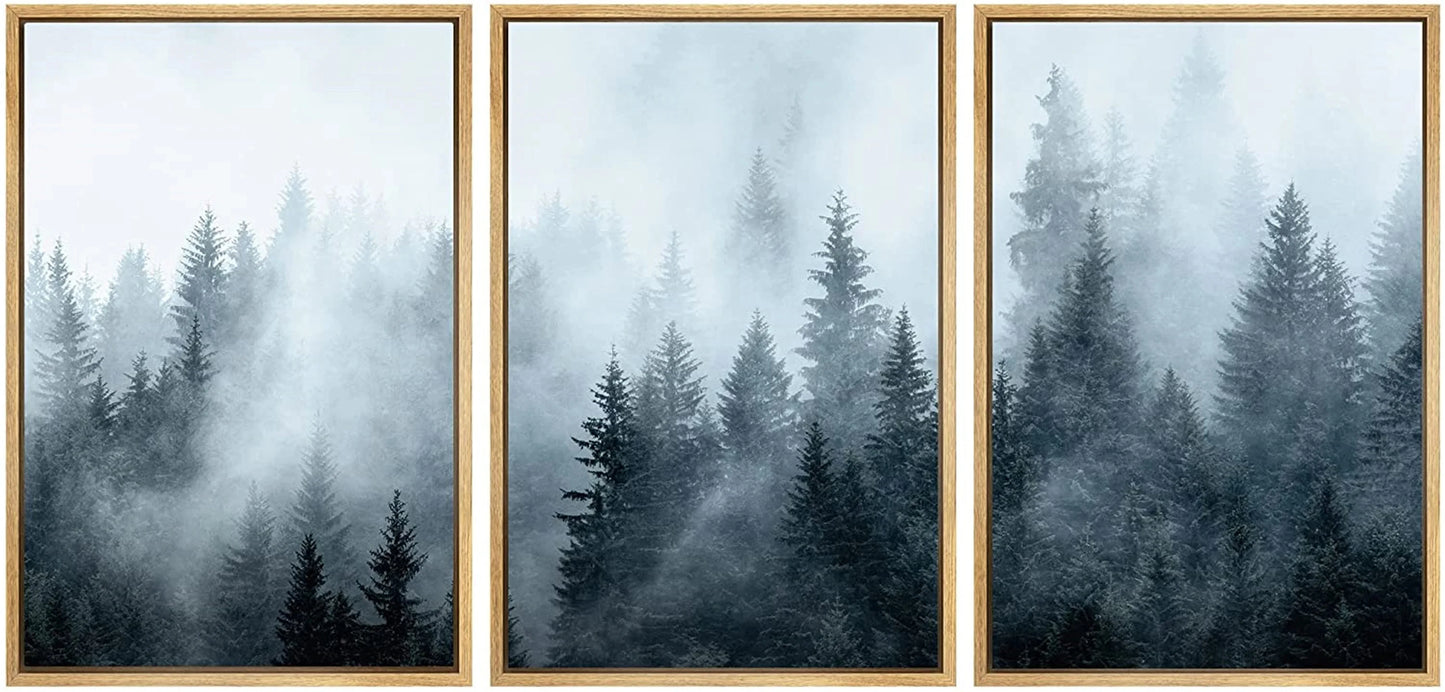 Misty Forest Canvas Set