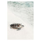 Ocean Turtle Canvas Art