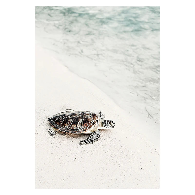 Ocean Turtle Canvas Art