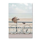 Coastal Turtle Canvas Art