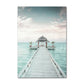 Coastal Turtle Canvas Art