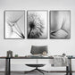 Dandelion Canvas Wall Art