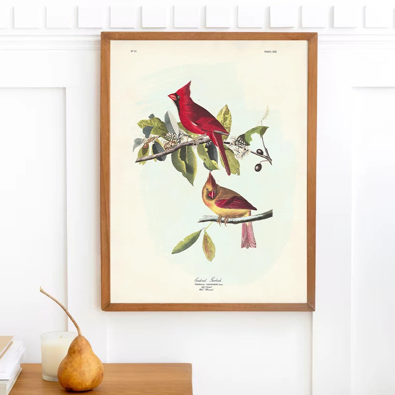 Classic Vintage Audubon Backyard Birds of America Botanical Mockingbird,Robin Poster Canvas Painting Wall Art Picture Home Decor