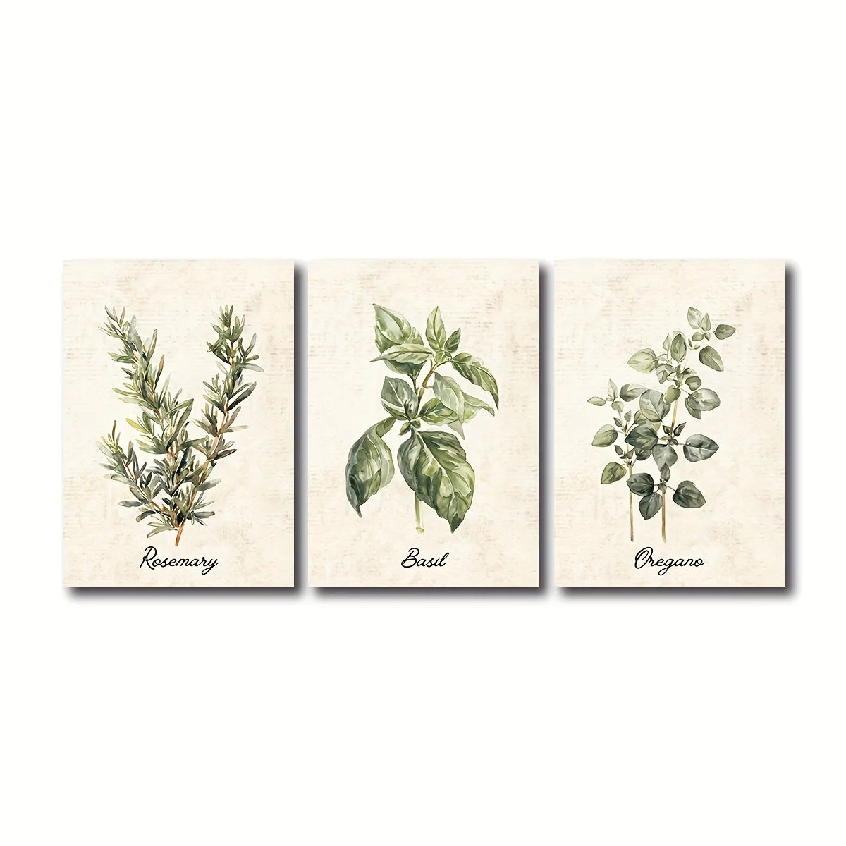 3pcs/set Vintage Watercolor Botanical Herb Canvas Print Poster Modern Cottagecore Farmhouse Art Prints Living Room Home Decor