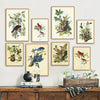 Vintage Bird Botanical Canvas