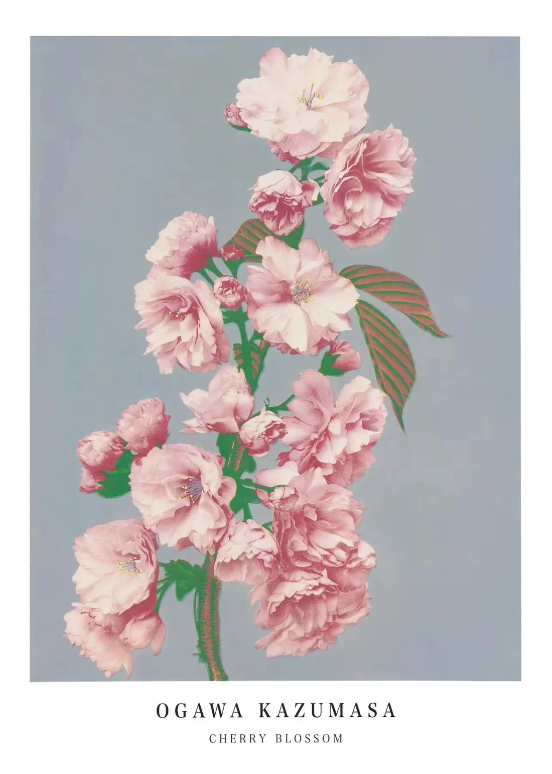 Cherry Blossom Canvas Art