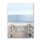 Ocean Turtle Canvas Art