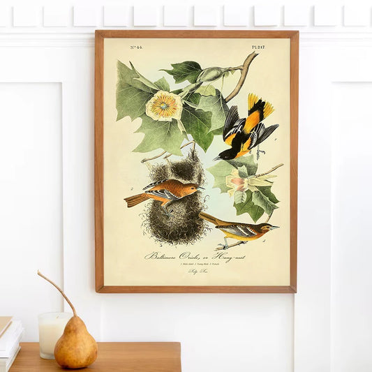 Vintage Bird Botanical Canvas
