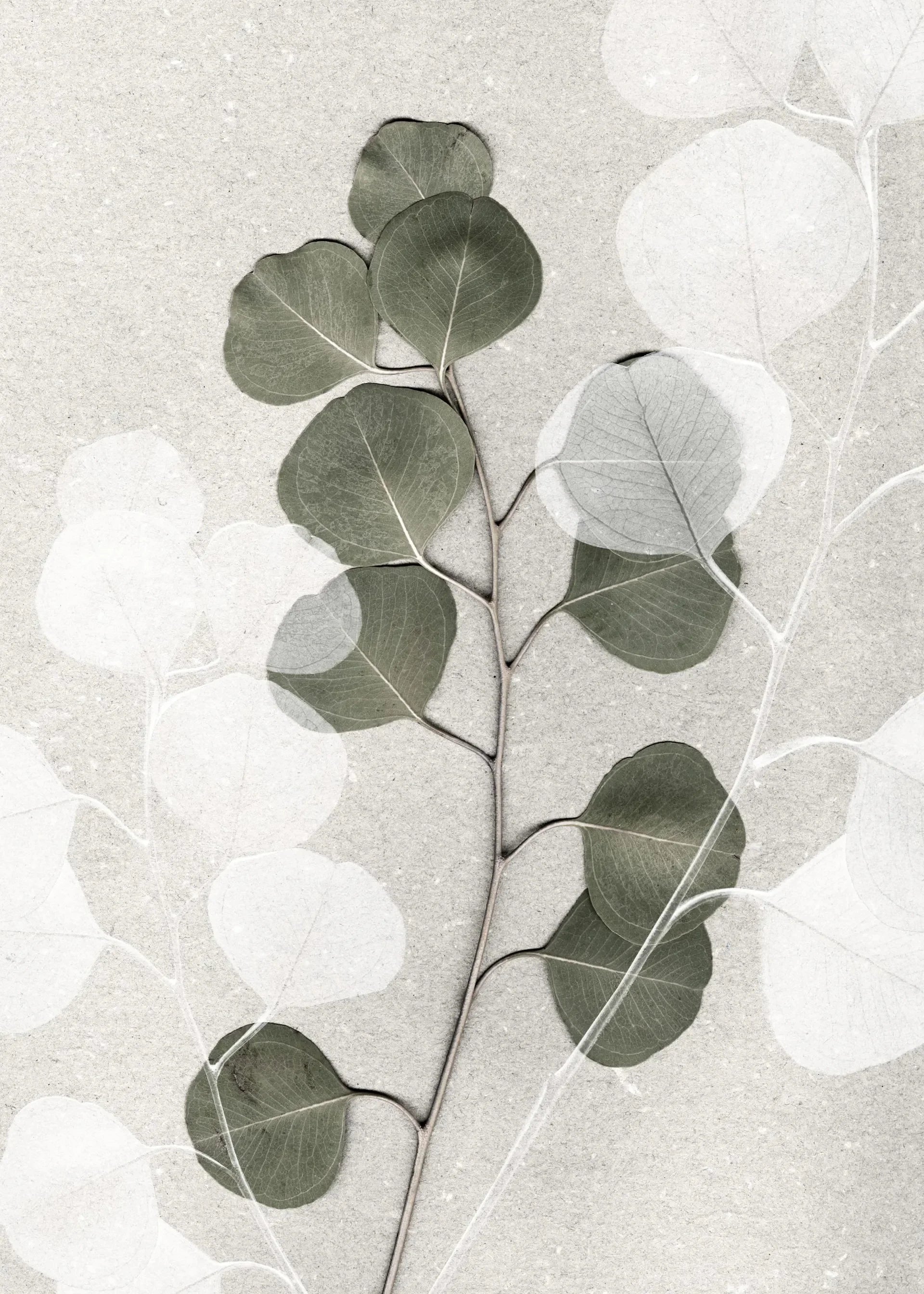 Green Leaf Line Art
