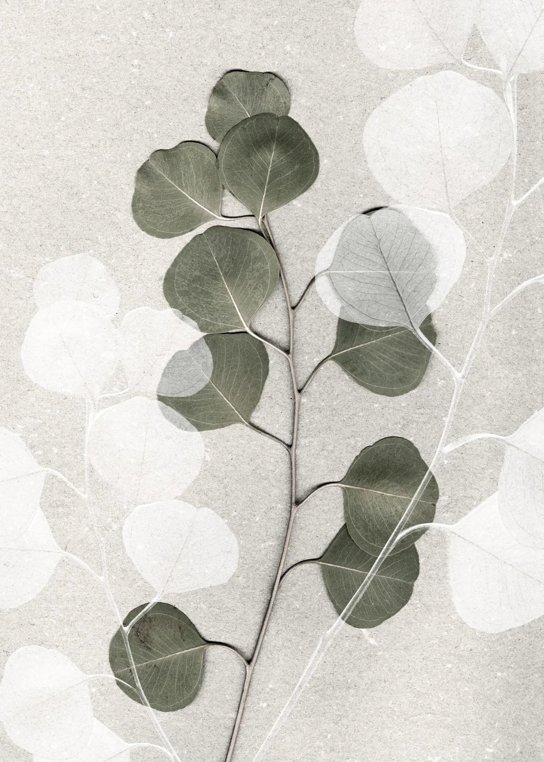 Green Leaf Line Art
