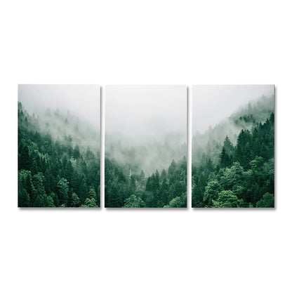 Mountain Forest Canvas Set